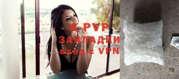 стаф Осинники