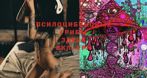 кристаллы Богородск