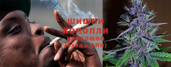 apvp Богданович
