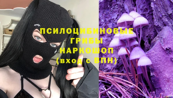 apvp Богданович
