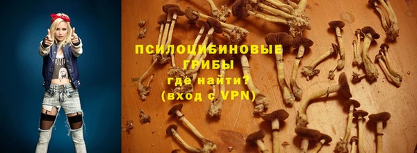 ПСИЛОЦИБИНОВЫЕ ГРИБЫ Краснотурьинск