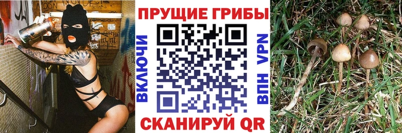 Галлюциногенные грибы ЛСД Нарткала